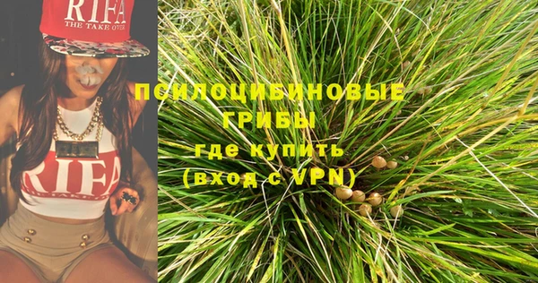 ПСИЛОЦИБИНОВЫЕ ГРИБЫ Инта
