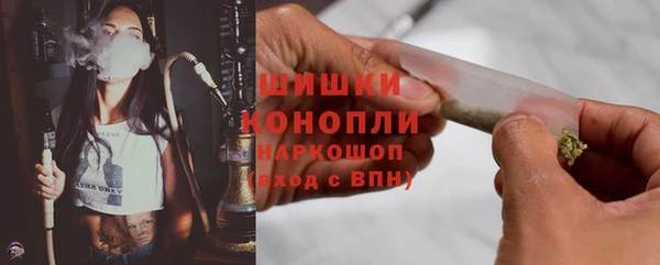 ПСИЛОЦИБИНОВЫЕ ГРИБЫ Инта