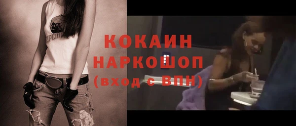 ПСИЛОЦИБИНОВЫЕ ГРИБЫ Инта