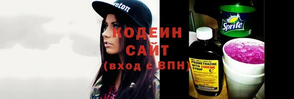 ПСИЛОЦИБИНОВЫЕ ГРИБЫ Инта