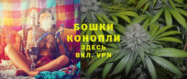 ПСИЛОЦИБИНОВЫЕ ГРИБЫ Инта