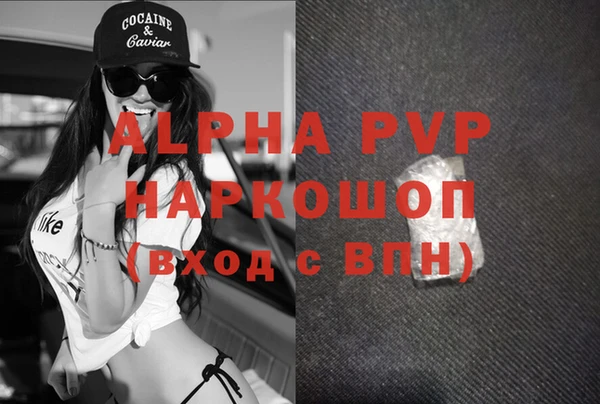 ПСИЛОЦИБИНОВЫЕ ГРИБЫ Инта