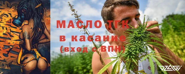 ПСИЛОЦИБИНОВЫЕ ГРИБЫ Инсар