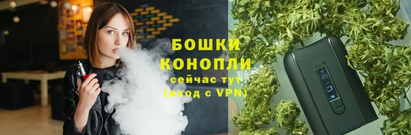 ПСИЛОЦИБИНОВЫЕ ГРИБЫ Инсар