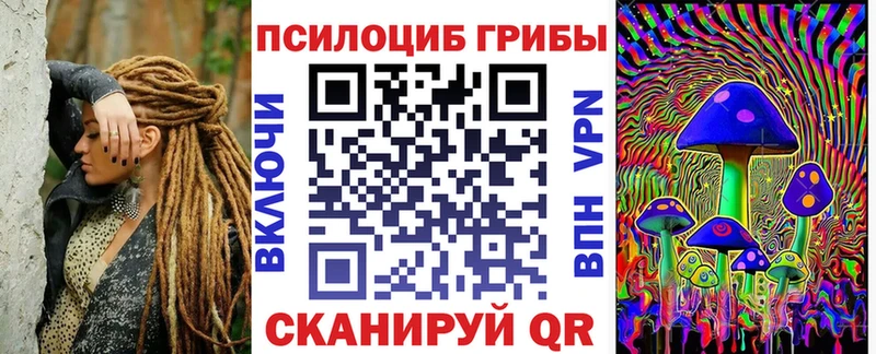 Купить  Дегтярск  Псилоцибиновые грибы GOLDEN TEACHER 